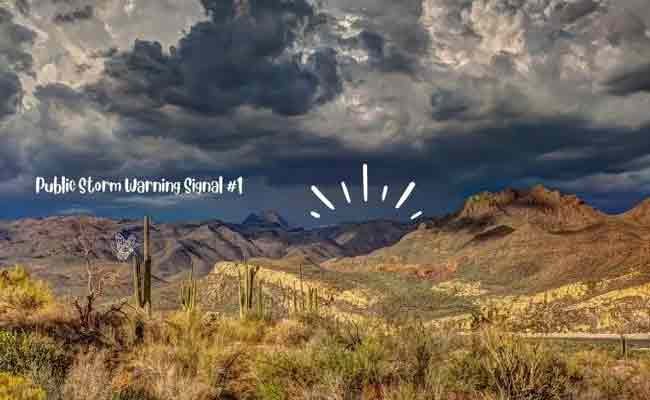 Public Storm Warning Signal #1 Best Public Storm Warning System